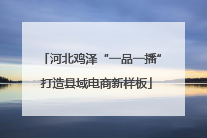 河北鸡泽“一品一播”打造县域电商新样板