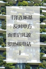 泽连斯基：反对单方面重启扎波罗热核电站