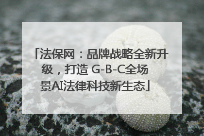 法保网：品牌战略全新升级，打造 G-B-C全场景AI法律科技新生态