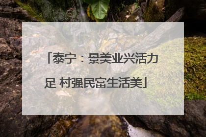 泰宁：景美业兴活力足 村强民富生活美