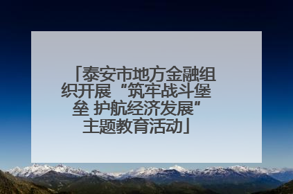 泰安市地方金融组织开展“筑牢战斗堡垒 护航经济发展”主题教育活动