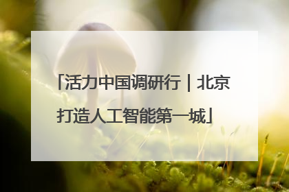 活力中国调研行｜北京打造人工智能第一城