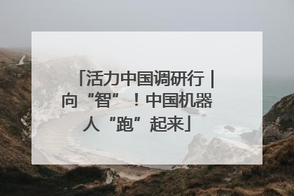 活力中国调研行｜向“智”！中国机器人“跑”起来