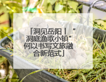 洞见岳阳丨“洞庭渔歌小镇”何以书写文旅融合新范式