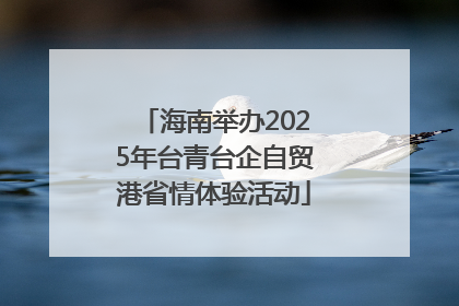 海南举办2025年台青台企自贸港省情体验活动