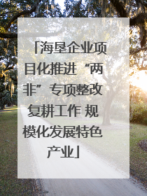 海垦企业项目化推进“两非”专项整改复耕工作 规模化发展特色产业