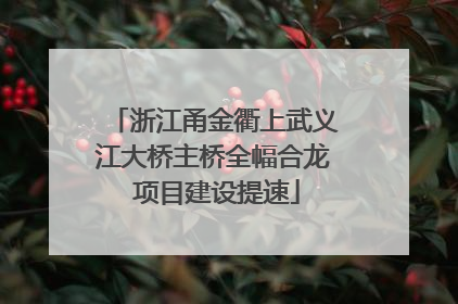 浙江甬金衢上武义江大桥主桥全幅合龙 项目建设提速