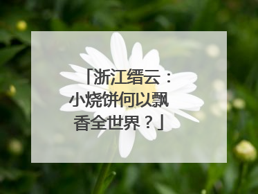 浙江缙云：小烧饼何以飘香全世界？