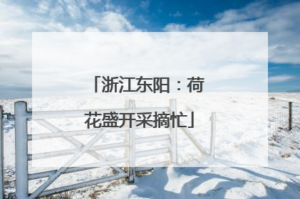 浙江东阳：荷花盛开采摘忙