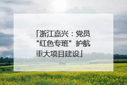 浙江嘉兴：党员“红色专班”护航重大项目建设