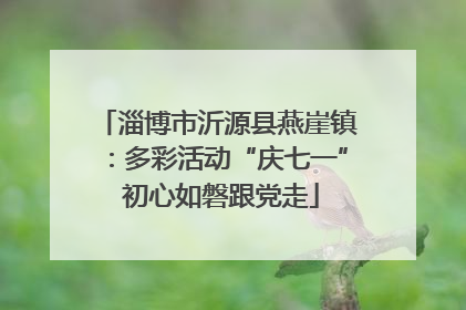 淄博市沂源县燕崖镇：多彩活动“庆七一” 初心如磐跟党走