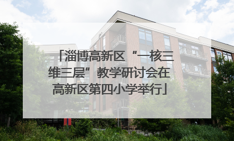 淄博高新区“一核三维三层”教学研讨会在高新区第四小学举行