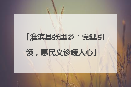 淮滨县张里乡：党建引领，惠民义诊暖人心