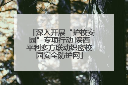 深入开展“护校安园”专项行动 陕西平利多方联动织密校园安全防护网