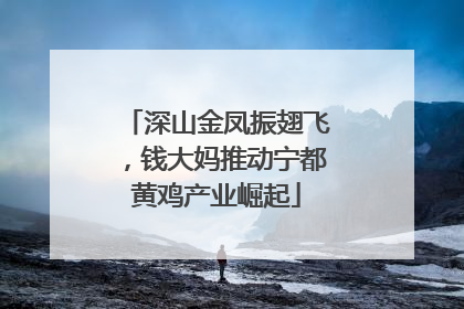 深山金凤振翅飞，钱大妈推动宁都黄鸡产业崛起