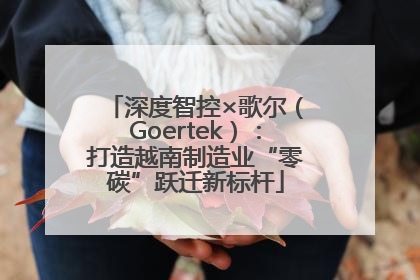 深度智控×歌尔（Goertek）：打造越南制造业“零碳”跃迁新标杆