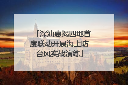 深汕惠揭四地首度联动开展海上防台风实战演练