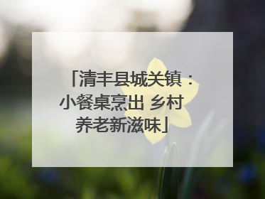 清丰县城关镇：小餐桌烹出 乡村养老新滋味