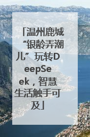 温州鹿城“银龄弄潮儿”玩转DeepSeek，智慧生活触手可及