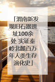 渭南新发现旧石器遗址100余处 实证秦岭北麓百万年人类生存演化史