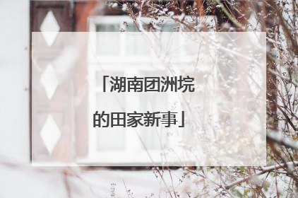 湖南团洲垸的田家新事