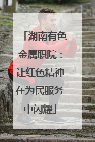 湖南有色金属职院：让红色精神在为民服务中闪耀