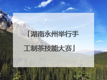 湖南永州举行手工制茶技能大赛