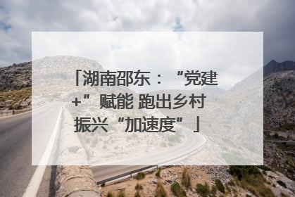 湖南邵东：“党建+”赋能 跑出乡村振兴“加速度”