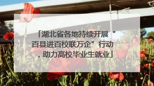 湖北省各地持续开展“百县进百校联万企”行动，助力高校毕业生就业