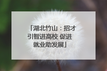 湖北竹山：招才引智进高校 促进就业助发展