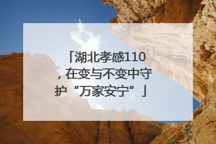 湖北孝感110，在变与不变中守护“万家安宁”