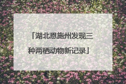 湖北恩施州发现三种两栖动物新记录