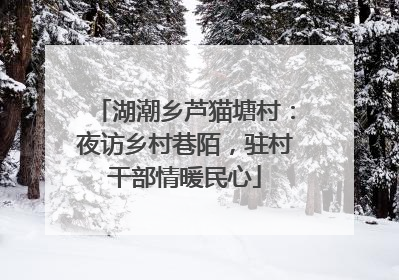 湖潮乡芦猫塘村：夜访乡村巷陌，驻村干部情暖民心