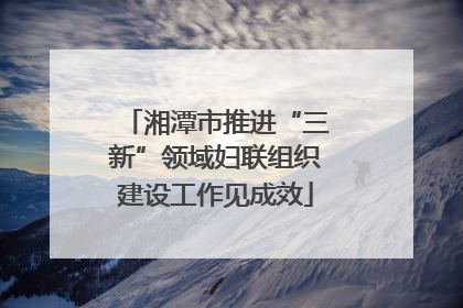 湘潭市推进“三新”领域妇联组织建设工作见成效
