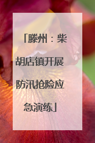 滕州：柴胡店镇开展防汛抢险应急演练