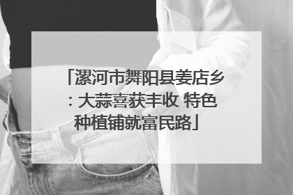 漯河市舞阳县姜店乡：大蒜喜获丰收 特色种植铺就富民路