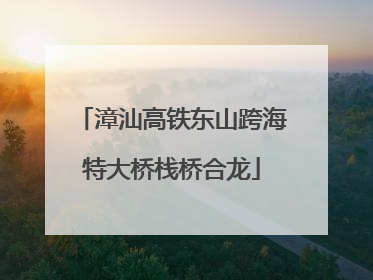 漳汕高铁东山跨海特大桥栈桥合龙