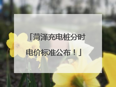 菏泽充电桩分时电价标准公布！