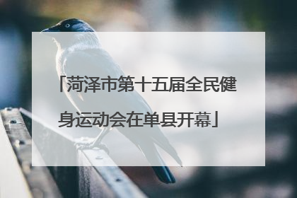 菏泽市第十五届全民健身运动会在单县开幕