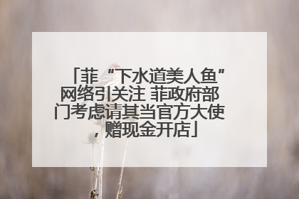 菲“下水道美人鱼”网络引关注 菲政府部门考虑请其当官方大使，赠现金开店