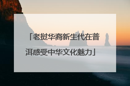 老挝华裔新生代在普洱感受中华文化魅力