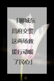 聊城东昌府交警这两场救援行动暖了民心