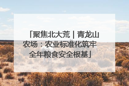 聚焦北大荒｜青龙山农场：农业标准化筑牢全年粮食安全根基