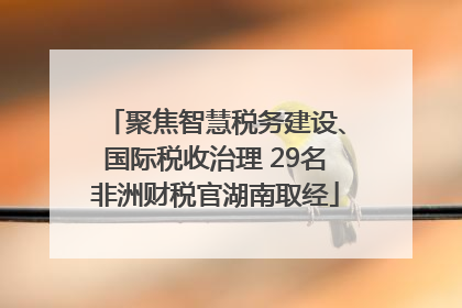 聚焦智慧税务建设、国际税收治理 29名非洲财税官湖南取经