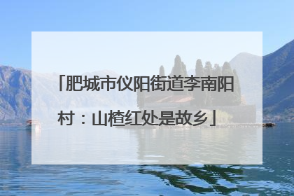 肥城市仪阳街道李南阳村：山楂红处是故乡