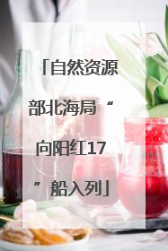自然资源部北海局“向阳红17”船入列