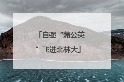自强“蒲公英”飞进北林大