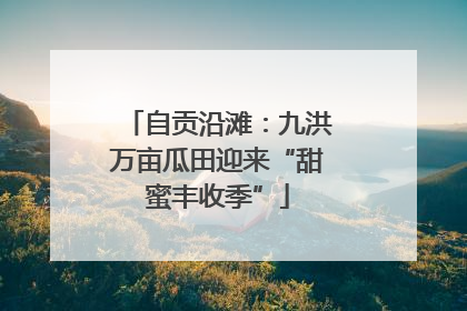 自贡沿滩：九洪万亩瓜田迎来“甜蜜丰收季”