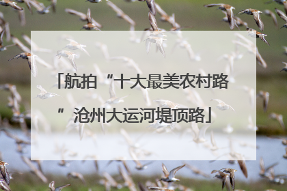 航拍“十大最美农村路”沧州大运河堤顶路