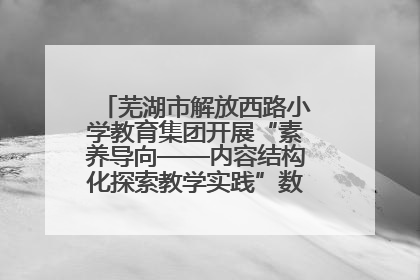 芜湖市解放西路小学教育集团开展“素养导向——内容结构化探索教学实践”数学专题研讨活动